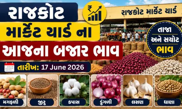 apmc-rajkot-apmc-marketing-yard-aaj-na-bajar-bhav-17-june-2026