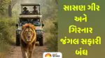 Sasan Gir Closed: પ્રવાસીઓ ખાસ ધ્યાન આપે! સાસણ ગીર અને ગિરનાર જંગલ સફારી આગામી 4 મહિના માટે બંધ