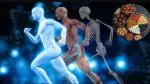 Strengthen Bones:હાંડકા મજબૂત કરવા ઈચ્છતા હોય તો આજથી જ આ ડ્રાઈ ફ્રુટને તમારા ભોજનમાં સામેલ કરો