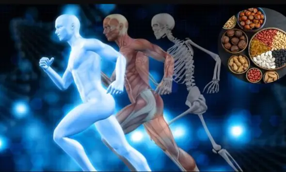 if-you-want-to-strengthen-your-bones-include-this-dry-fruit-in-your-diet-from-today