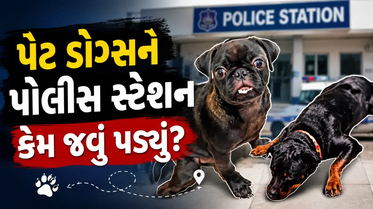 panigate-police-humanity-vadodara-thief-family-pet-dog-roxy-scooby-rescue