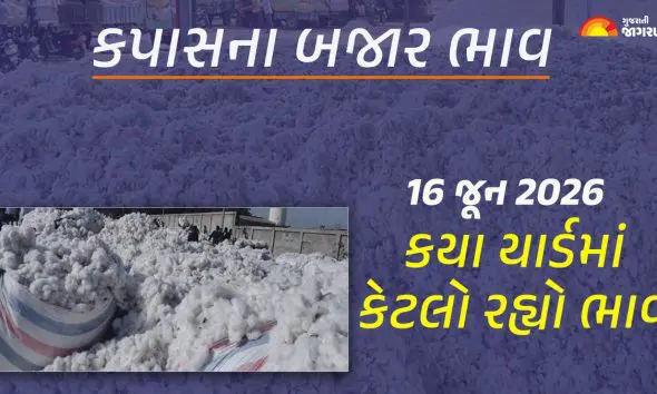 cotton-market-price-gujarat-today-16-june-2026-kapas-rate-live-updates