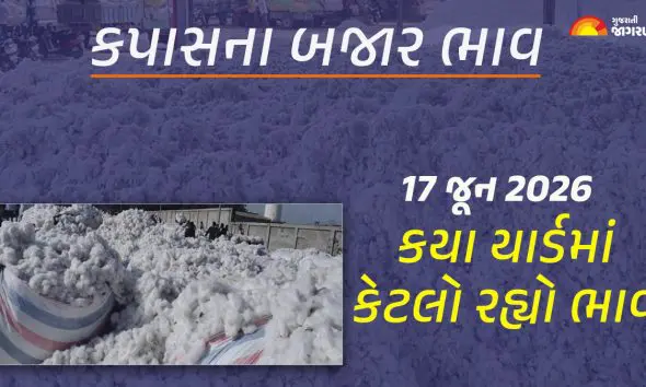 cotton-market-price-gujarat-today-17-june-2026-kapas-rate-live-updates