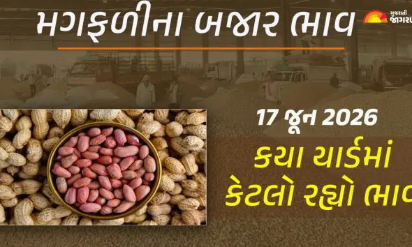 groundnut-prices-in-gujarat-17-june-2026-today-mandi-bhav-regional-apmc-rates-market-trends-live-updates