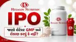 Hexagon Nutrition IPO Day 2: હેક્સાગોન ન્યુટ્રિશન IPO માં કમાણીની તક? ગ્રે માર્કેટમાં પ્રીમિયમ વધ્યું; જાણો રોકાણ કરવું કે નહીં?