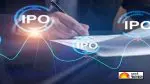 Hexagon Nutrition IPO: 14,985 માં મોટી કમાણીની તક! આજથી ખુલ્યો હેક્સાગોન ન્યુટ્રિશનનો IPO; GMP બન્યું રોકેટ