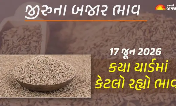 jeera-price-today-gujarat-17-june-2026-latest-mandi-prices-unjha-market-yard-bhav-live-updates