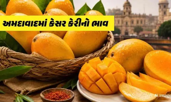 kesar-mango-price-in-ahmedabad-today-17-june-2026-check-latest-mango-rates-per-kg-box