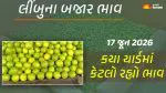Lemon Prices in Gujarat (17 June 2026): ગુજરાતમાં 17 યાર્ડમાં લીંબુના આજના બજાર ભાવ, જાણો કયા યાર્ડમાં ઊંચા-નીચા ભાવ શું રહ્યા?