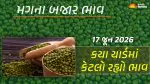 Green Gram Prices in Gujarat (17 June 2026): ગુજરાતમાં 26 યાર્ડના મગના આજના બજાર ભાવ, જાણો કયા યાર્ડમાં ઊંચા-નીચા ભાવ શું રહ્યા?