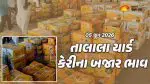 Mango Prices in Talala: તાલાલા માર્કેટ યાર્ડમાં આજે 24,500 બોક્સ કેસર કેરીની આવક, જાણો 10 કિલોનો કેટલો ભાવ બોલાયો