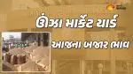 ઊંઝા માર્કેટ યાર્ડ ના ભાવ (12 જૂન 2026) | Unjha Market Yard Bhav