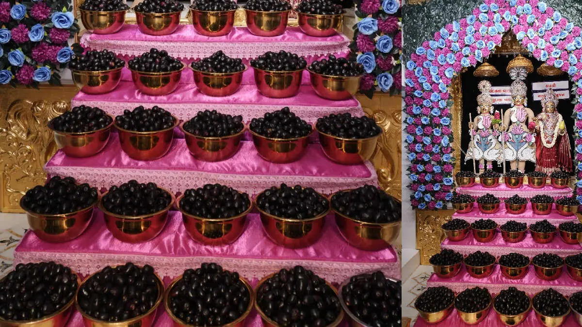 jamun-festival-celebrated-in-vadtaldham-500-kg-of-jamun-offered-to-the-gods