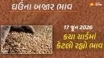 Wheat Prices in Gujarat (17 June 2026): ગુજરાતમાં 56 યાર્ડના ઘઉંના આજના બજાર ભાવ, જાણો કયા યાર્ડમાં ઊંચા-નીચા ભાવ શું રહ્યા?