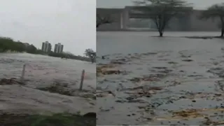 દાહોદના ખેડૂતો માટે દિલ્હી-મુંબઈ કોરિડોર માથાના દુખાવા સમાન, પહેલા વરસાદે જ ખેતરોમાં ભરાયા પાણી; જુઓ VIDEO