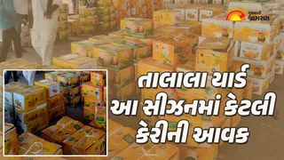 તાલાલા માર્કેટિંગ યાર્ડમાં કેસર કેરીની સીઝન પૂર્ણ: 61 દિવસમાં 9.44 લાખ બોક્સની આવક, અમેરિકામાં 55 ટન નિકાસ