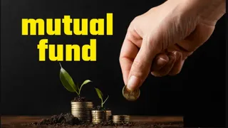 Mutual Fund Borrowing Rules: SEBI એ મ્યુચ્યુઅલ ફંડ માટે નિયમો હળવા બનાવ્યા, હવે વિવિધ કાર્યો પૂરા કરવા મેળવી શકશે ધિરાણ
