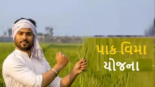 PMFBY:પશ્ચિમ બંગાળમાં પ્રધાનમંત્રી પાક વીમા યોજનાની શરૂઆત, 50 લાખથી વધારે ખેડૂતોને મળશે લાભ