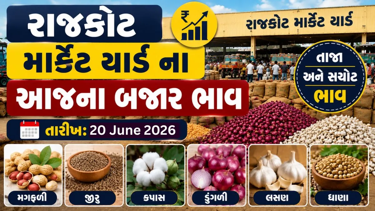 apmc-rajkot-apmc-marketing-yard-aaj-na-bajar-bhav-20-june-2026
