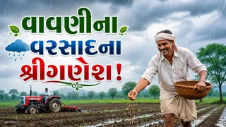 પરેશ ગોસ્વામીની આગાહીઃ ગુજરાતમાં નૈઋત્યનું ચોમાસું સક્રિય, 10 જિલ્લામાં ગાજવીજ અને ભારે પવન સાથે વરસાદની વકી
