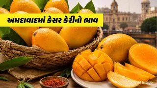 Kesar Mango Price in Ahmedabad | 21 જૂન 2026 ના રોજ અમદાવાદમાં કેસર કેરીનો આજનો ભાવ શું છે? ચેક કરો 1 કિલો અને 10 કિલો બોક્સના લેટેસ્ટ રેટ