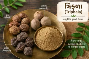 Triphala For Weight Loss: હરડે, બહેડા અને આમળાનું આયુર્વેદિક સંયોજન મેદસ્વિતા નિવારવા અસરકારક
