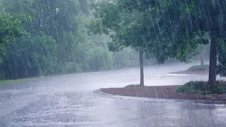 Gujarat Rain Alert: હવામાન વિભાગનું ત્રણ કલાકનું એલર્ટ; સુરત, નવસારી સહિત આ જિલ્લાઓમાં ગાજવીજ સાથે વરસાદ થઇ શકે