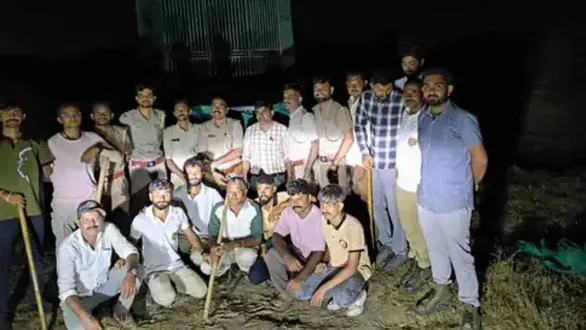 amreli-lion-attack-man-eating-4-lions-jailed-for-life-at-sakkarbaug-zoo