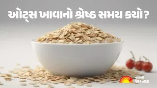 સ્વાસ્થ્યનો ખજાનો: ઓટ્સ ખાવાનો શ્રેષ્ઠ સમય કયો? વજન ઘટાડવા ઈચ્છતા લોકો ખાસ વાંચે
