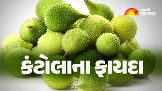Kantola Health Benefits: અનેક બીમારીમાં કારગર છે કંટોલા, જાણો તેને ખાવાના ફાયદા
