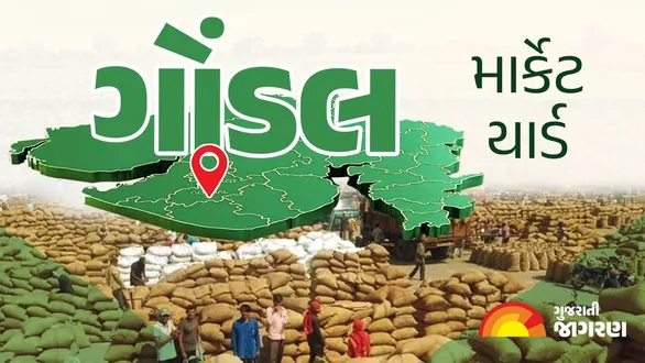 apmc-gondal-market-yard-bhav