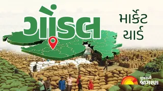 ગોંડલ માર્કેટ યાર્ડ ના ભાવ | APMC Gondal Market Yard Bhav | ગોંડલ બજાર ભાવ આજના