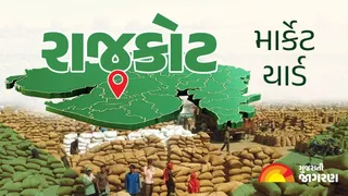 રાજકોટ માર્કેટ યાર્ડ ના ભાવ | APMC Rajkot Market Yard Bhav | રાજકોટ બજાર ભાવ આજના
