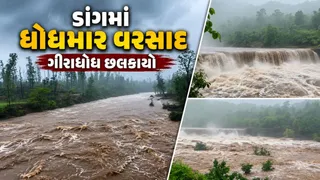 ડાંગમાં મેઘરાજાનો કહેર: વધઈ અને સુબિરમાં 13 ઇંચથી વધુ વરસાદ, નવા નીર આવતાં 'ડાંગનો નાયગ્રા' ગીરાધોધ બન્યો આકર્ષણનું કેન્દ્ર