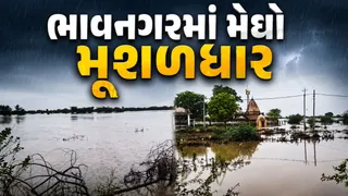 Bhavnagar Rain News: ભાવનગર જિલ્લામાં મેઘરાજા મન મૂકીને વરસ્યા: જેસરમાં સૌથી વધુ 3.58 ઇંચ વરસાદ
