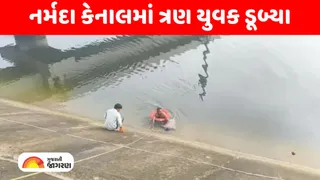 ગાંધીનગર: અડાલજ-ઝુંડાલ નર્મદા કેનાલમાં પાંચ યુવક તણાયા, ત્રણ યુવકના મોત; બે મિત્રનો આબાદ બચાવ થયો