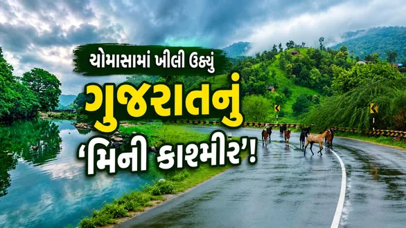 polo-forest-gujarat-monsoon-travel-best-picnic-place-historical-temples-haranav-dam-adventure-activities