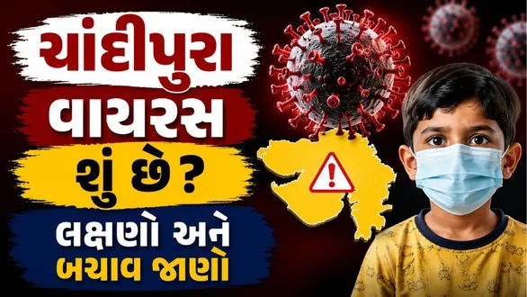 chandipura-virus-outbreak-in-gujarat-know-symptoms-causes-and-prevention-tips-in-gujarati