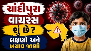 Chandipura Virus Symptoms: ચાંદીપુરા વાયરસ શું છે? જાણો તેના મુખ્ય લક્ષણો, ફેલાવવાના કારણો અને નિવારણની મહત્વની ટિપ્સ
