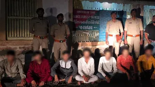 Gir Lion Video: ગીરમાં સિંહની પજવણીનો વીડિયો વાયરલ કરનાર 8 શખ્સો વન વિભાગના સકંજામાં, ટેક્નિકલ સર્વેલન્સથી ઝડપાયા