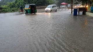 Gujarat Rain: આખરે કચ્છમાં મેઘકૃપા વરસી, રાપરમાં દોઢ ઈંચથી વધુ વરસાદથી રસ્તા પર નદીઓ વહી; ખેડૂતોમાં ખુશીની લહેર