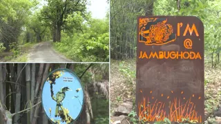 Dhanpuri Eco-Tourism Center: જાંબુઘોડા અભયારણ્યની મધ્યમાં આવેલું ધનપુરી ઇકો ટુરિઝમ સેન્ટર, ગુજરાતનું એક અગ્રણી વીકેન્ડ ડેસ્ટિનેશન બન્યું