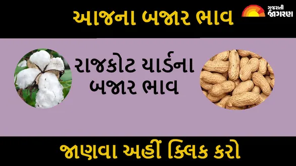 rajkot-apmc-price-22-july