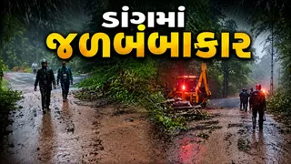 ડાંગ જિલ્લામાં મેઘરાજાની તોફાની બેટિંગ: વઘઈમાં 14 ઇંચથી વધુ વરસાદ સાથે જળબંબાકાર, 47 માર્ગો વાહન વ્યવહાર માટે બંધ કરાયા
