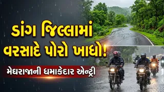 ડાંગ જિલ્લામાં વરસાદે વિરામ લીધો : 41 પૈકી 23 માર્ગો વાહન વ્યવહાર માટે ખુલ્લા થયા
