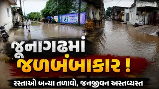 જૂનાગઢ જિલ્લામાં મેઘમહેર: ભેસાણમાં 4 ઇંચથી વધુ વરસાદ, જાણો તમારા તાલુકાની સ્થિતિ