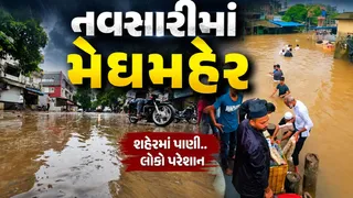 નવસારી જિલ્લામાં મેઘરાજાની મહેર: ખેરગામમાં સૌથી વધુ 3.39 ઈંચ વરસાદ, જાણો 24 કલાકના વરસાદી આંકડા
