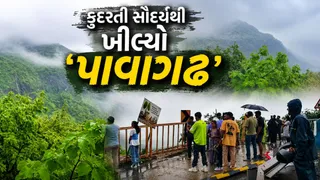 વરસાદી મૌસમમાં 'પાવાગઢ' સોળે કળાએ ખીલ્યું: લીલોછમ ડુંગર અને ઝરણાં પ્રવાસીઓ માટે બન્યા આકર્ષણનું કેન્દ્ર