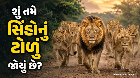 dhari-amreli-highway-9-lions-family-together-crossing-road-viral-video