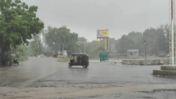 bharuch-district-rainfall-report-31-july-2026-netrang-records-highest-3-58-inch-rainfall